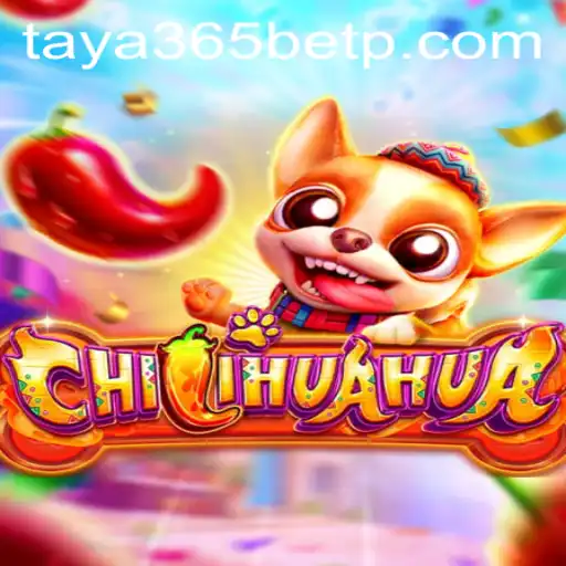 Unveiling the Thrilling World of CHILIHUAHUA on the Taya365 Bet Platform