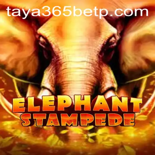 Exploring ElephantStampede: A Thrilling Adventure Awaits